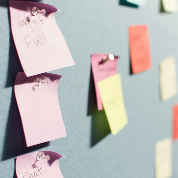 Workshops and Programs